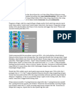 DNA Merupakan Kependekan Dari Deoxyribonucleic Acid Atau Dalam Bahasa Indonesia Sering