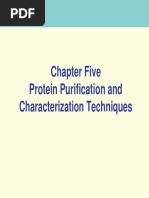 5 Protein Purification Characterization Techniques