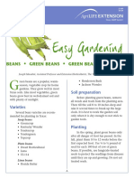 Easy Gardening: Beans Green Beans Green Beans Greenbe