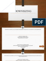 Actividad # 3 Hecha en Power Point - Downsizing