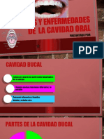 Partes y Enfermedades de La Cavidad Bucal