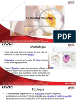Trichomona Vaginalis