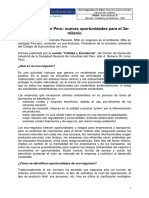 Econgperu.pdf