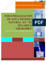 Proyecto-Agua-Mineral.docx