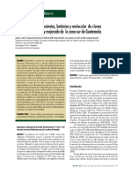 9.CARACTERIZACION_de_algunos_clones_pp_99-104.pdf