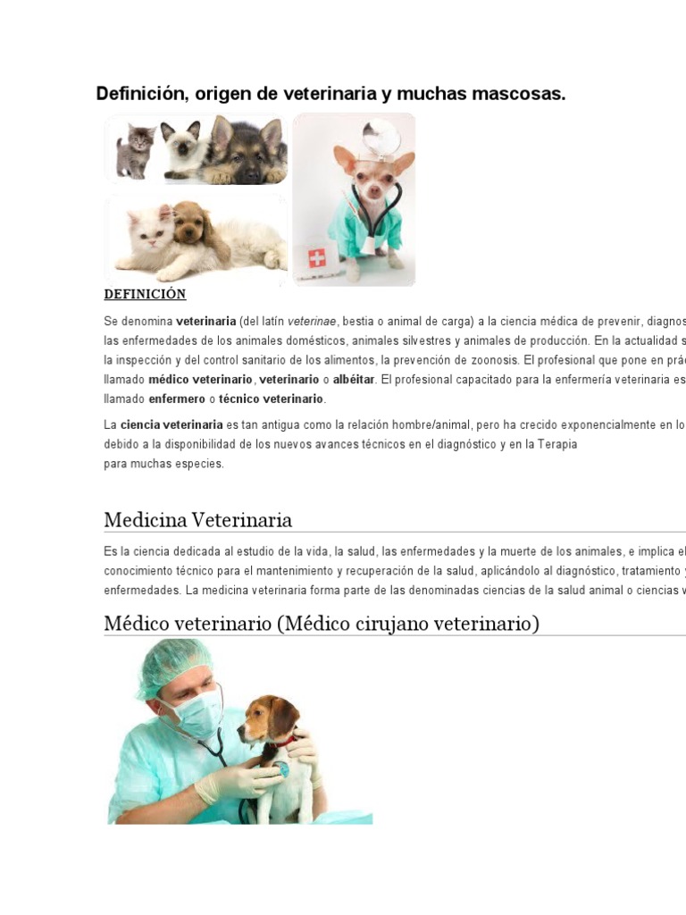 Definición y Origen de MVZ | PDF | Medicina Veterinaria | Enfermería