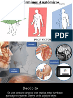 Terminos Anatomicos - PPSX