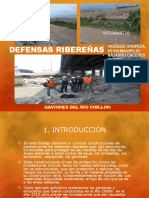 Defensa Ribereña PDF