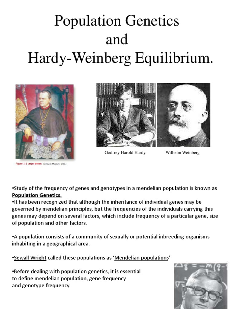 Population Genetics and Hardy-Weinberg Equilibrium | PDF | Organisms ...