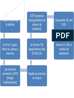 Dislipidemia