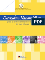 CNB de Formacion Docente.pdf