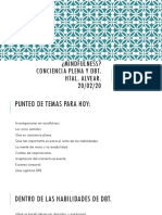 Manual Habilidades (Conciencia Plena) PDF