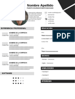 Curriculum Vitae Infografia