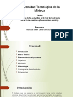 Presentacion PROTOCOLO DE INVESTIGACION MARCOS EFREN