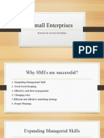 Small Enterprises: Reasons For Success and Failure