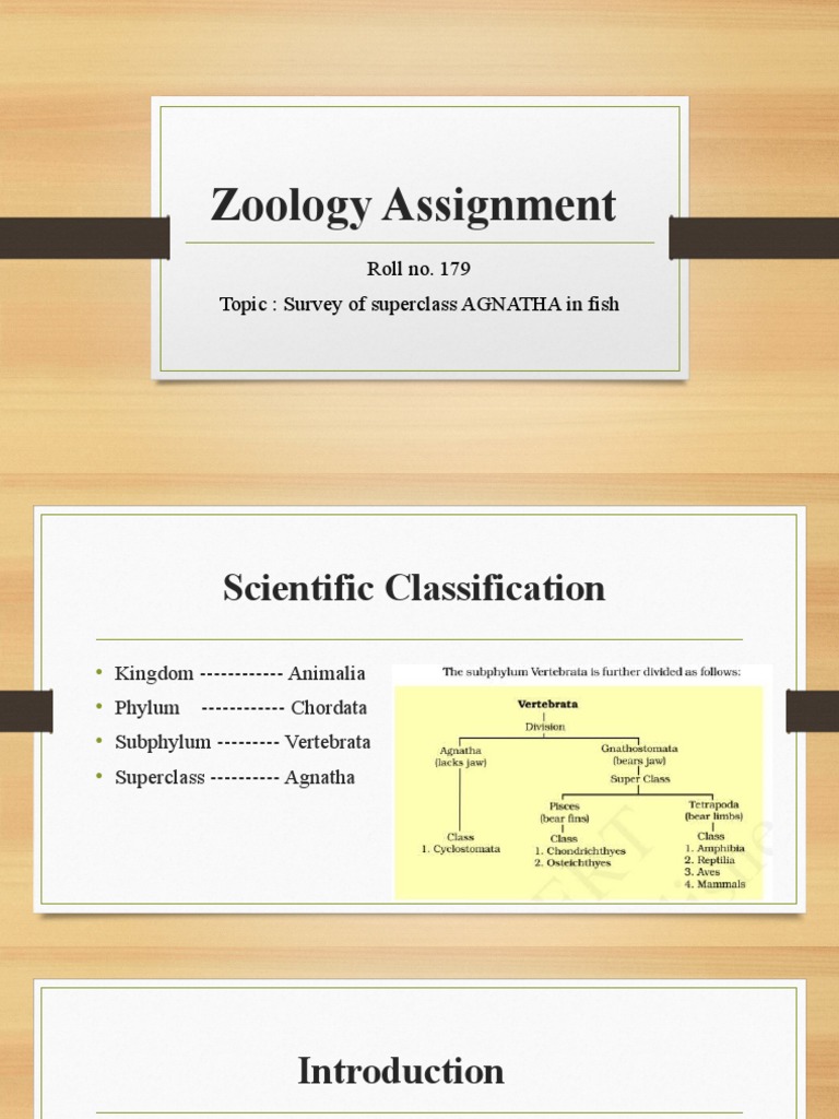 Superclass Agnatha of Fish | PDF | Fish | Nature