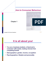 An Introduction To Consumer Behaviour