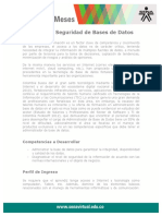 gestion_seguridad_base_datos(1).pdf