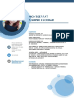 Curriculum Vitae Montserrat