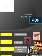 15. ENZIMAS.pdf