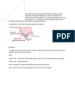 Inguinal Canal: Medial One-Half of The Inguinal Ligament Also Known As Poupart Ligament