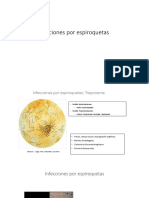 Infecciones-por-espiroquetas[1].pdf