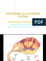 Sindromes Motores Periféricos PDF