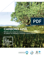 spanish_carbonoazul_lr.pdf