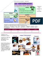 8 - Continuidad Pedagógica 1C Ep 11 25 Al29 de Mayo - Ciencias