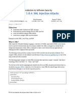 3 8 4-XML-Injections PDF