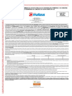 Minuta Do Prospecto Preliminar PDF