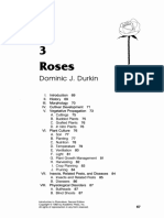 3 Roses: Dominic J. Durkin