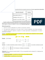 Eliminación Gaussiana PDF