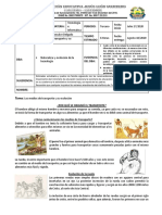 Evolución medios transporte