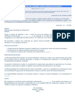 borrador informe contador sistema informatico.pdf