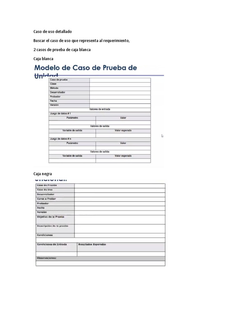 Caja Blanca y Caja Negra | PDF