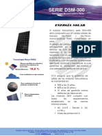 Especificaciones Técnicas DSM-300 PDF