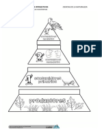 Lapbook PiramideConsumidores.pdf