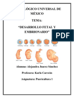 Desarrollo Embrionario y Fetal