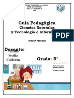 GUIA NATURALES 5°tercer Periodo