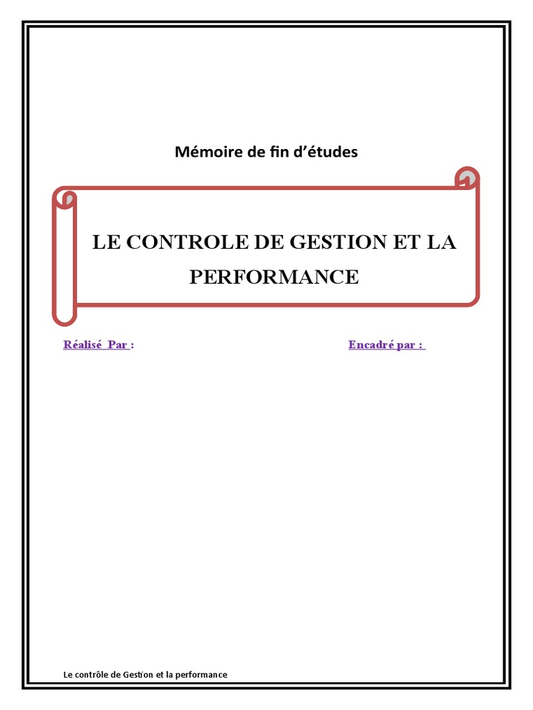 Contrôle de gestion et performance entreprise | PDF | Responsabilité ...