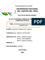 Determinacion de Materia Seca en Palta