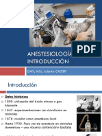 Anestesiología: introducción a las fases de la anestesia