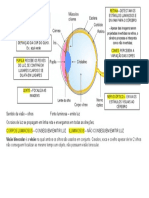 Como funciona a visão humana