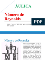 2. NUMERO DE REYNODLS
