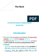 The Neck: Dr:Ahmed Ibrahim Abdi (Nawawi) Anatomist