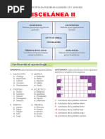 Miscelánea Ii - Academia 2 R.V