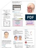 365251986-Triptico-Paralisi-Facial.docx