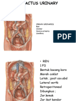 TRACT URINARY SMT 2 17042018