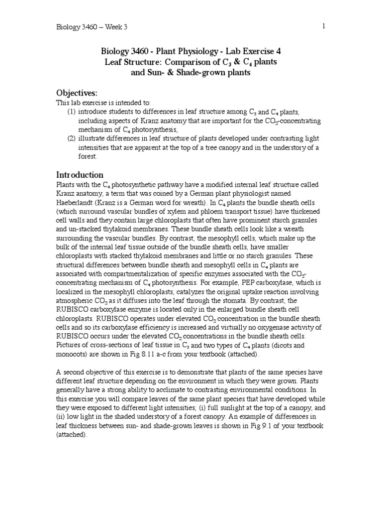 Biology 3460 Plant Physiology Lab Exercise 4 Leaf Structure